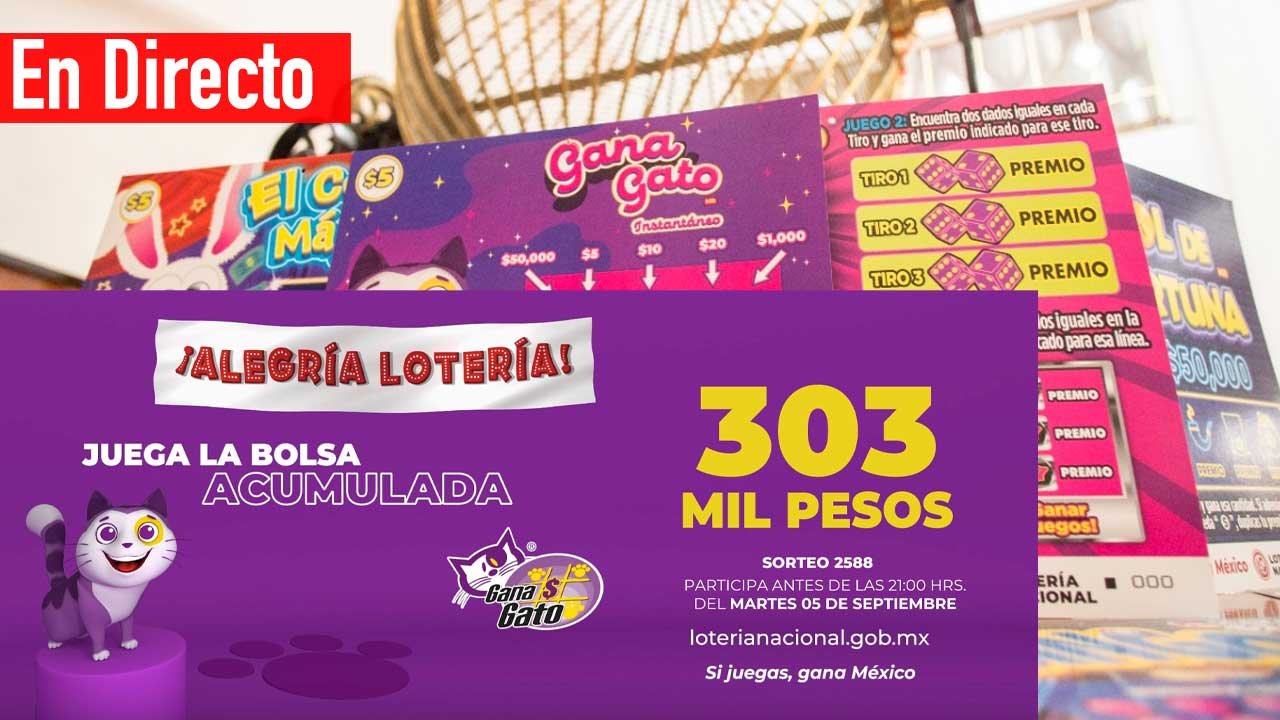 Checa los ganadores del gana gato