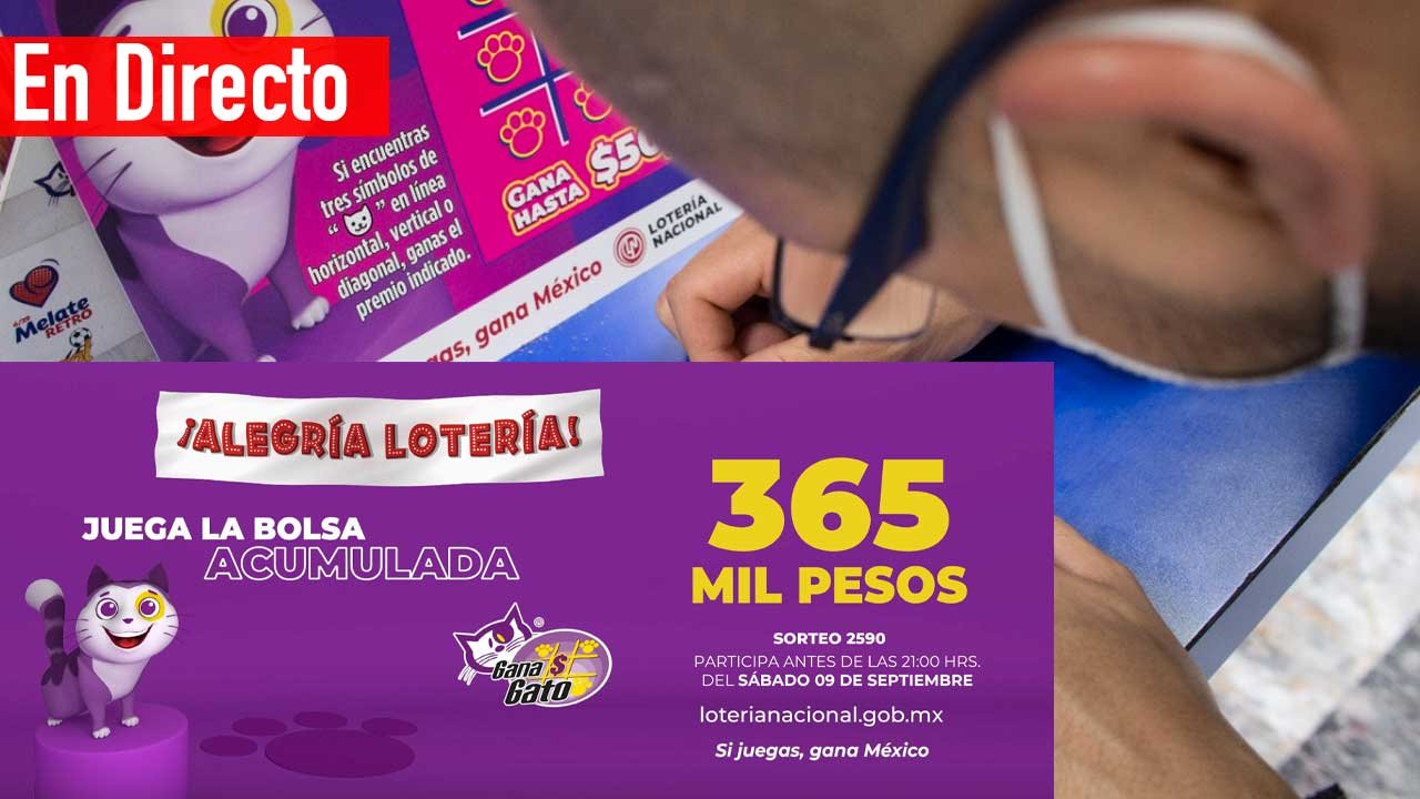 Te compartimos los ganadores del gana gato
