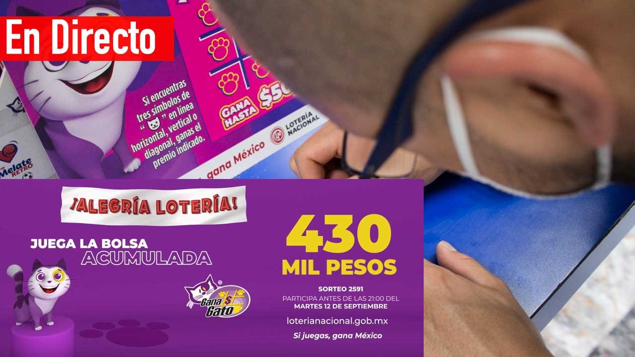 Checa los ganadores del gana gato