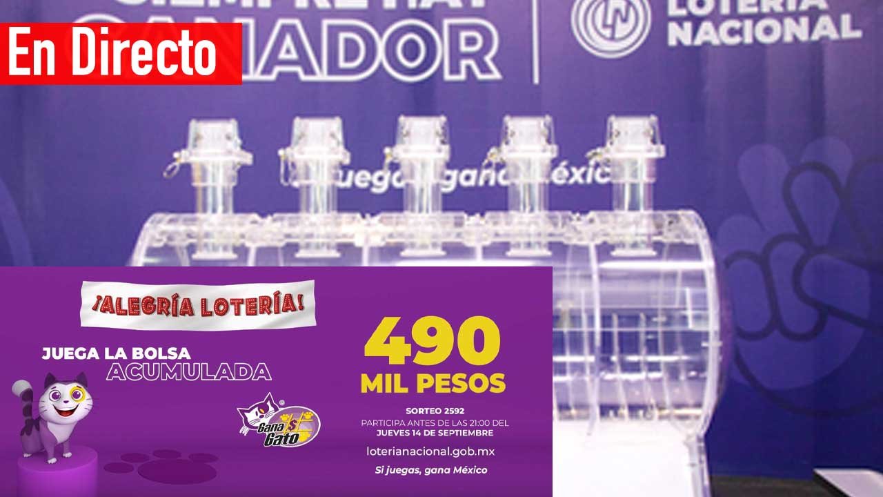 Checa los ganadores del gana gato