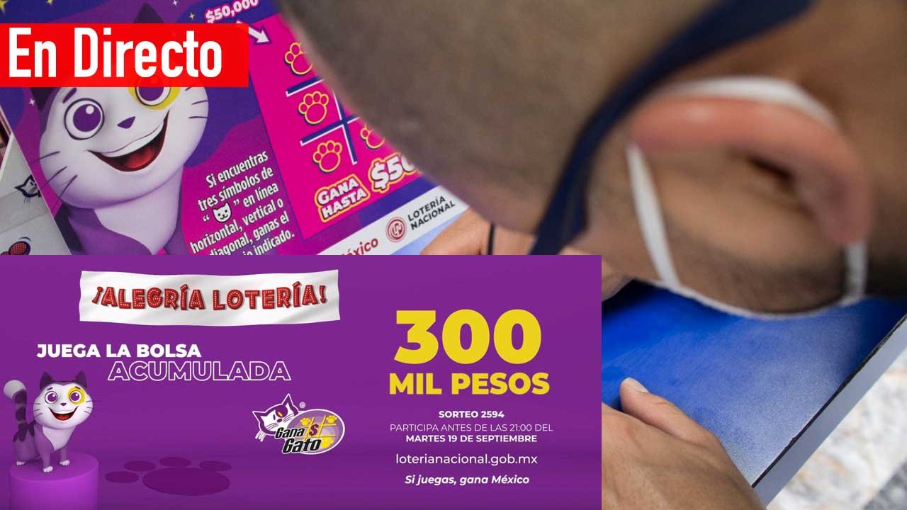 Checa ganadores del gana gato