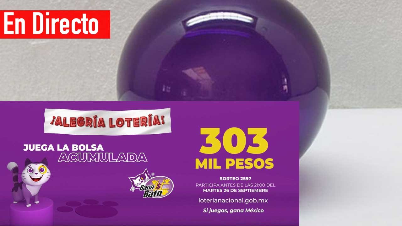 Checa los premios del gana gato