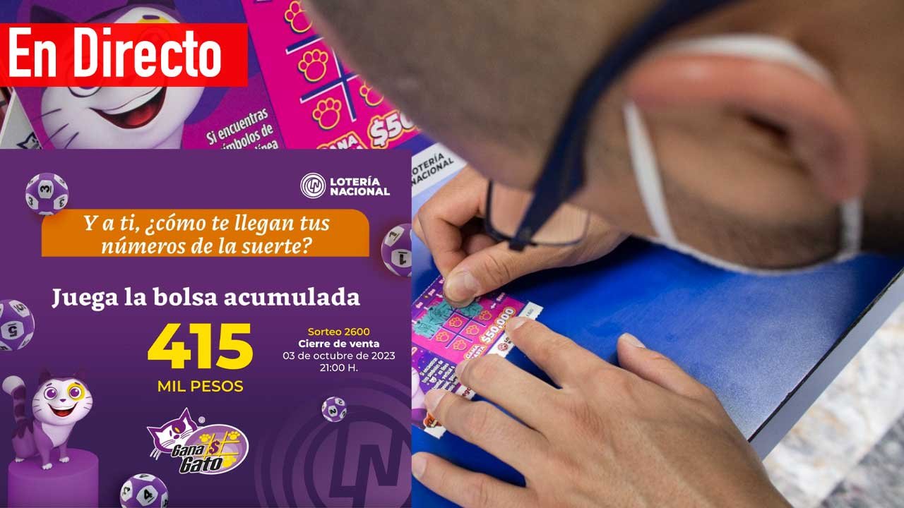 Checa los premios del gana gato