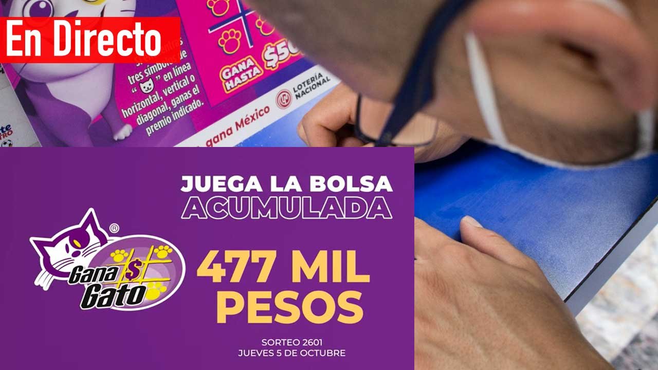 Checa ganadores del gana gato