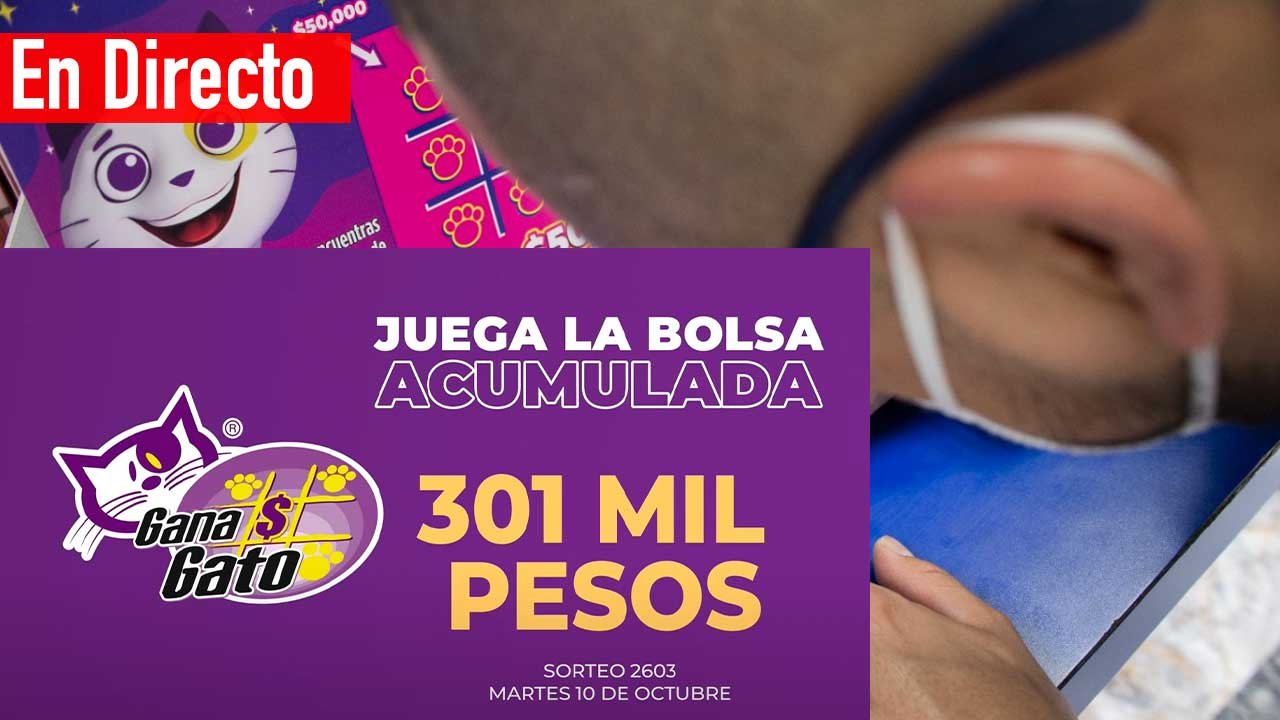 Este es el ganador del gana gato