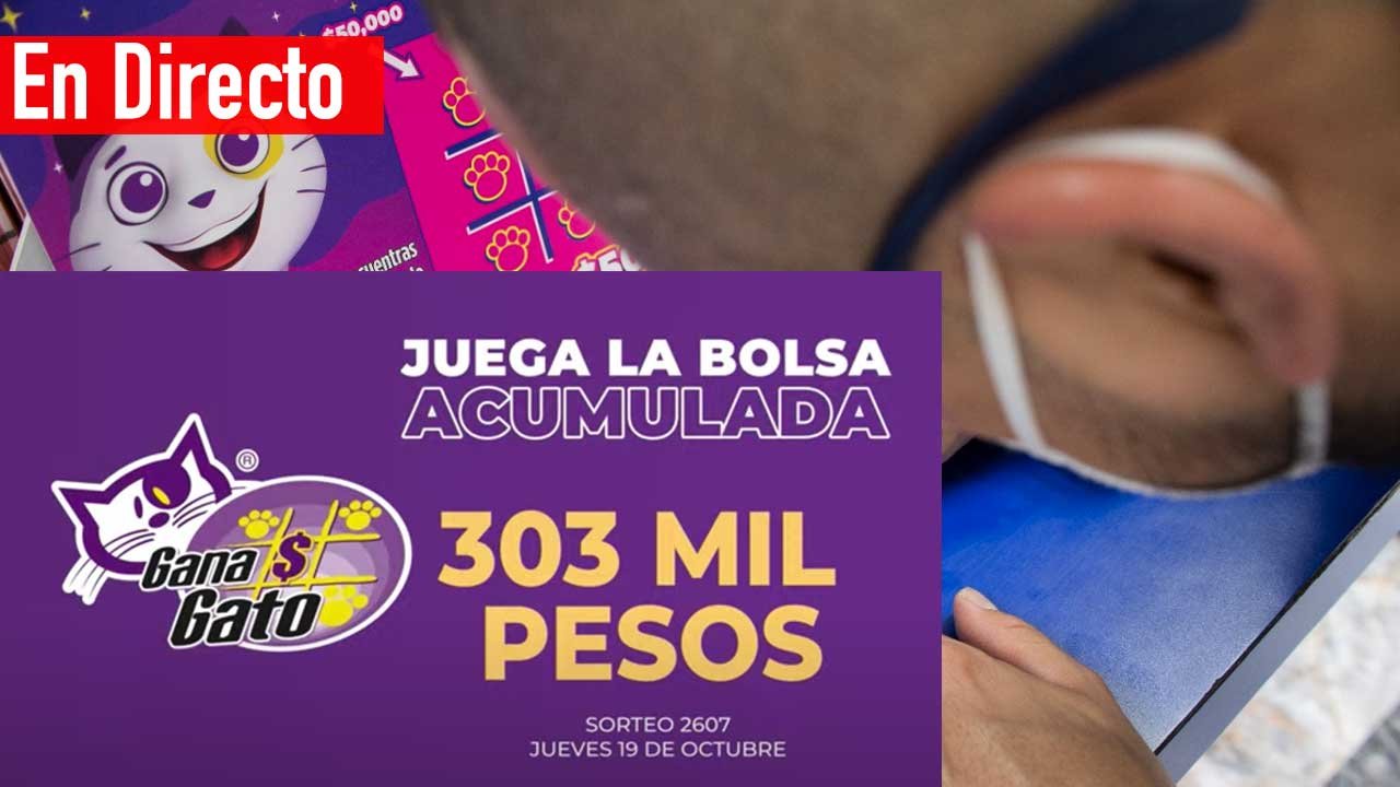 Sigue los premios del gana gato