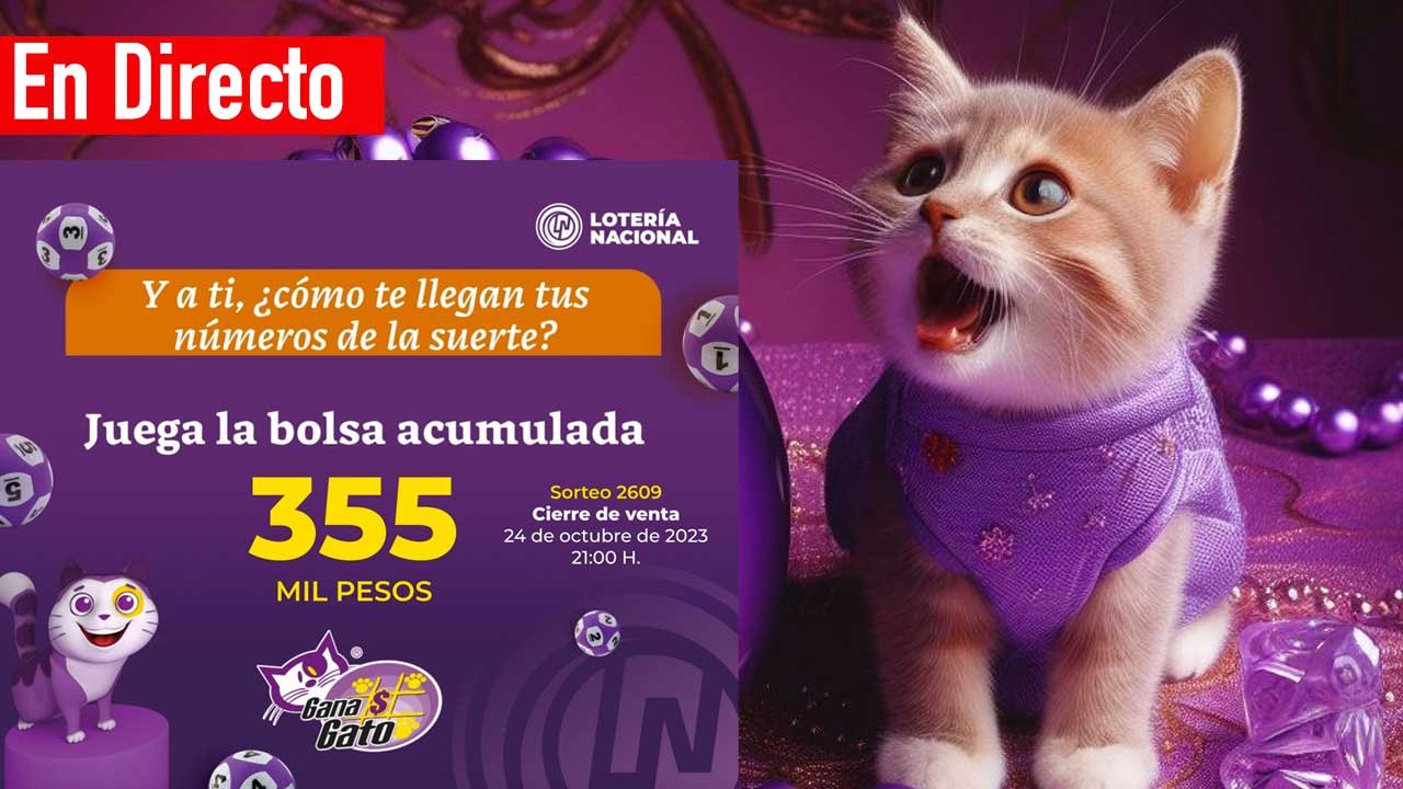 Llegan los premios del gana gato