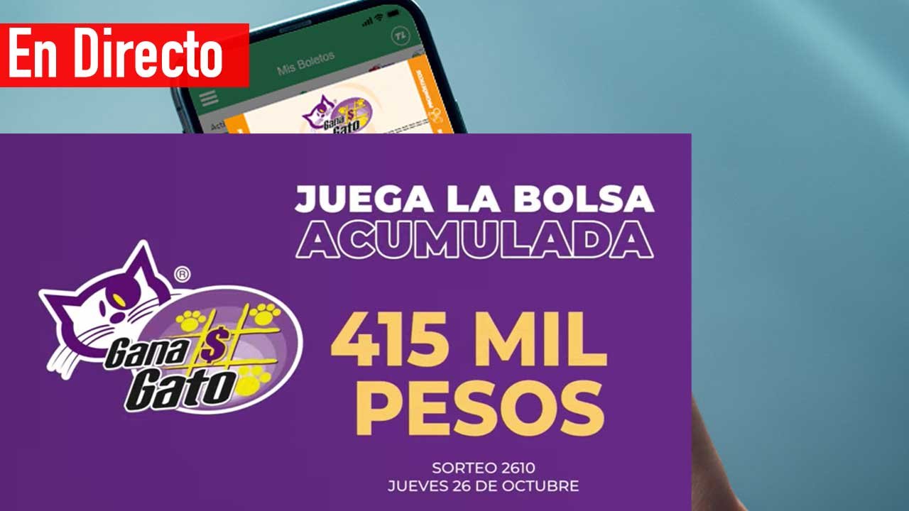 Checa los premios del gana gato