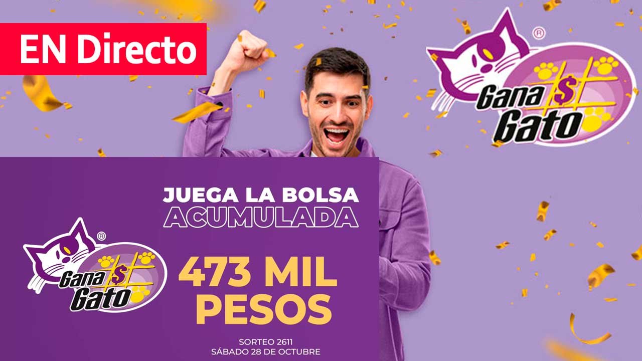 Te compartimos los premios del gana gato