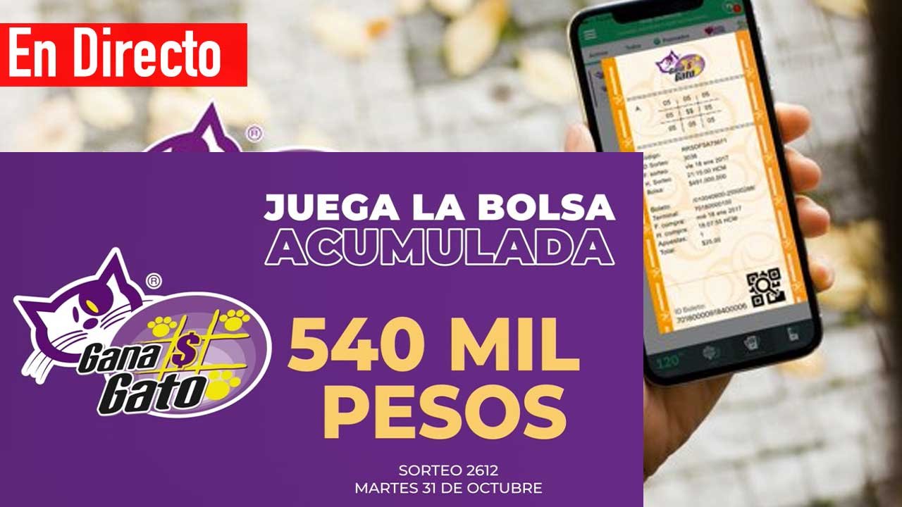 Sigue los resultados del gana gato