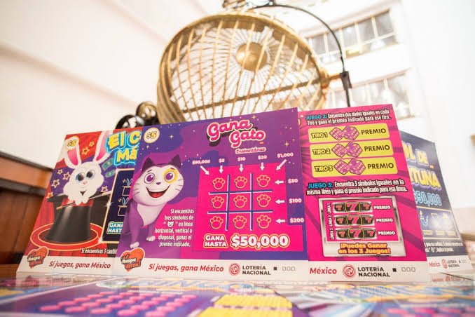 Premios del gana gato en vivo