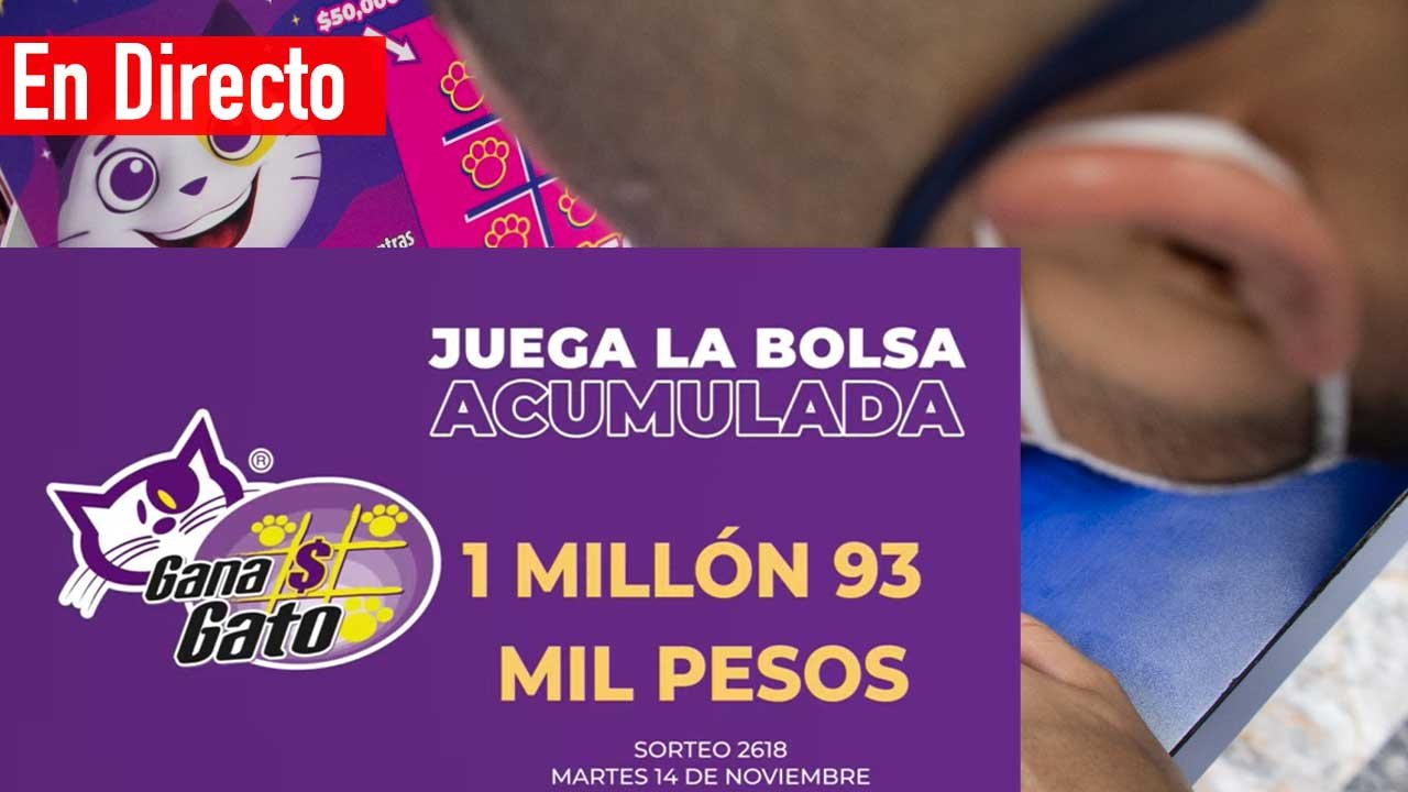 Te compartimos los ganadores del gana gato