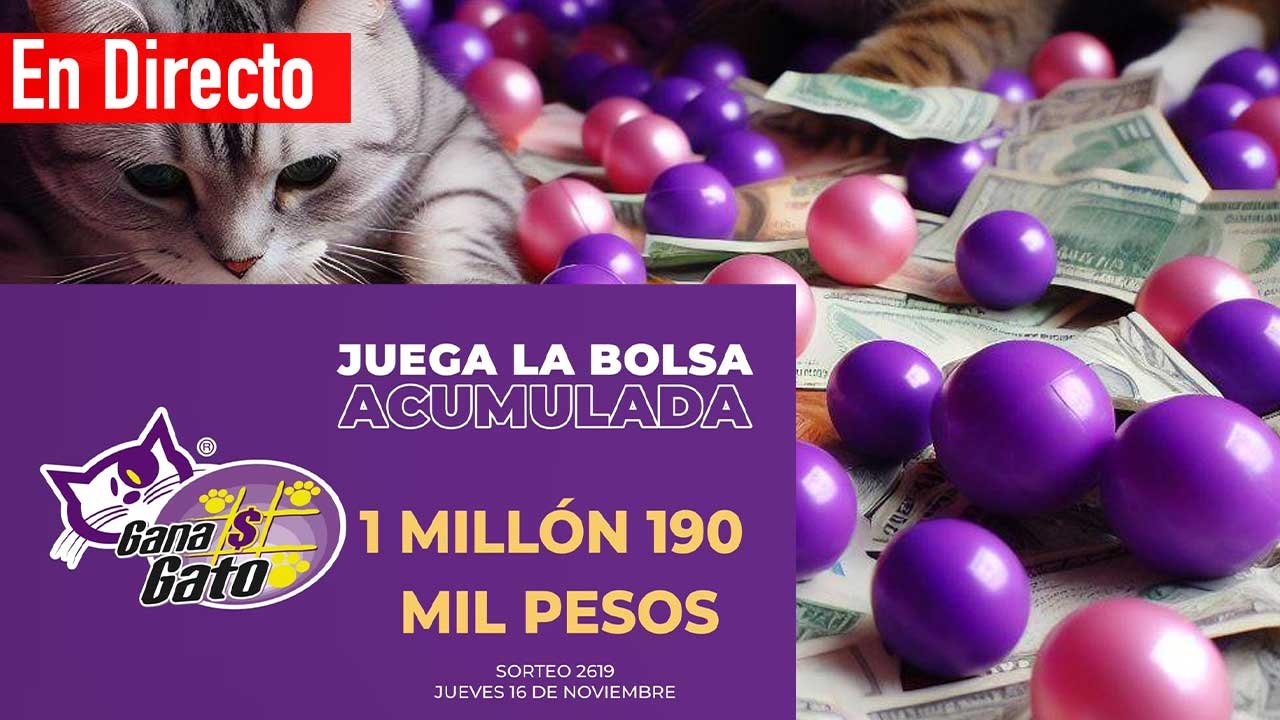 Checa los premios del gana gato