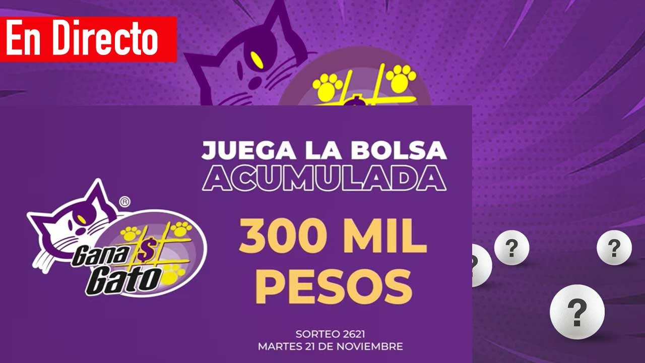 Te compartimos a los ganadores del gana gato