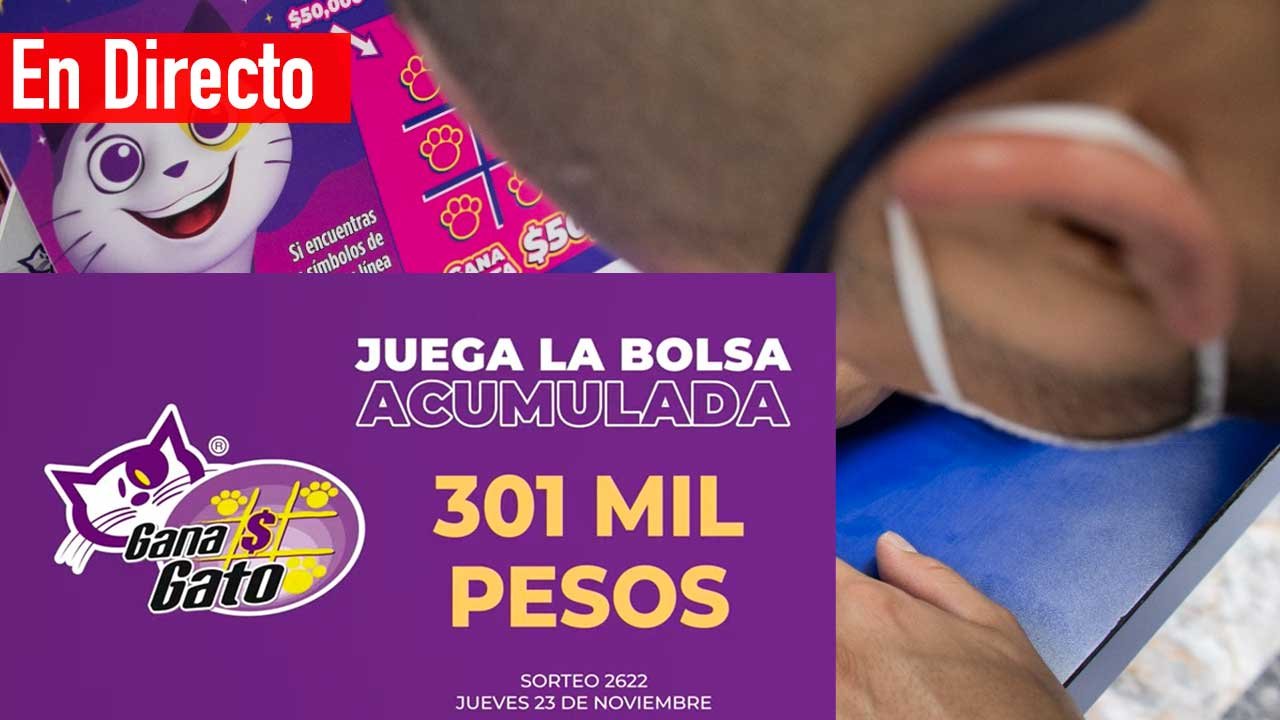 Sigue los resultados gana gato en vivo