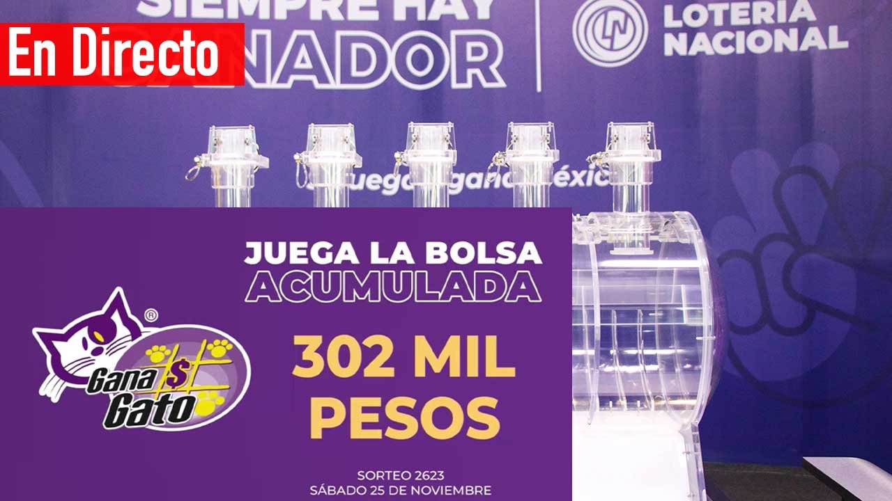 Checa los resultados gana gato 2623