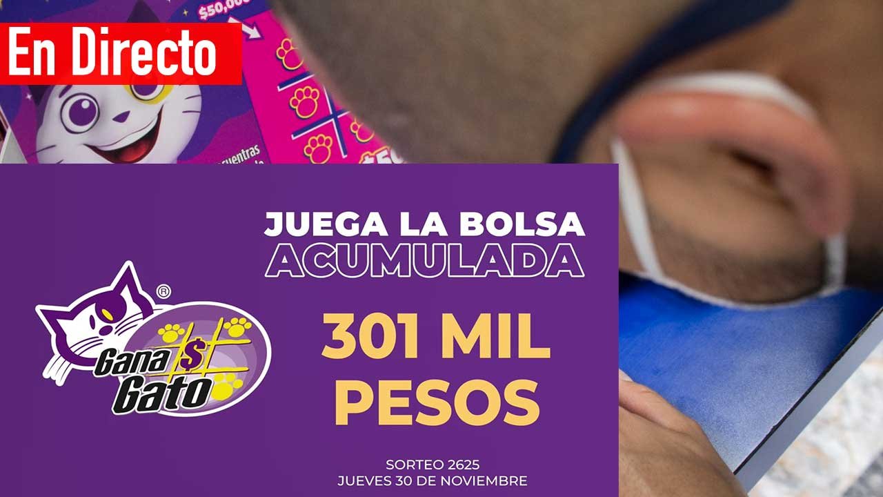 Te compartimos los resultados gana gato