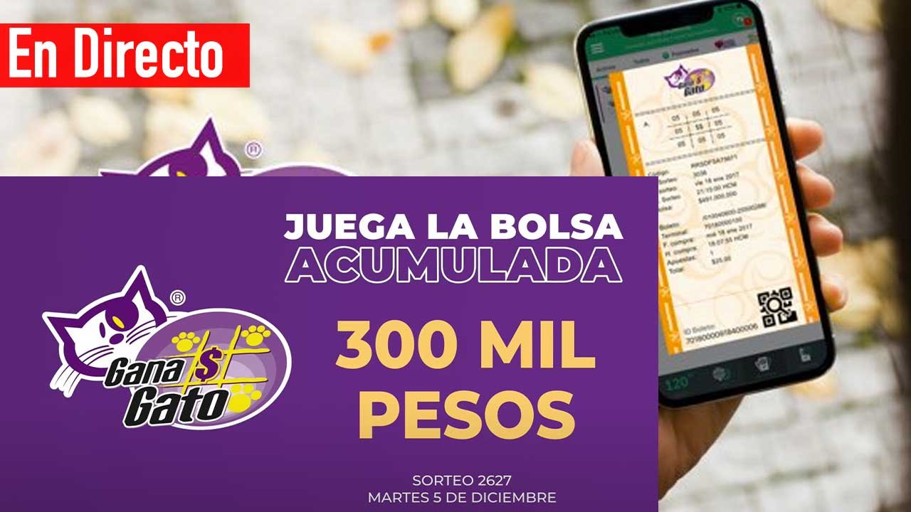 Se juega el gana gato por 300 mil pesos