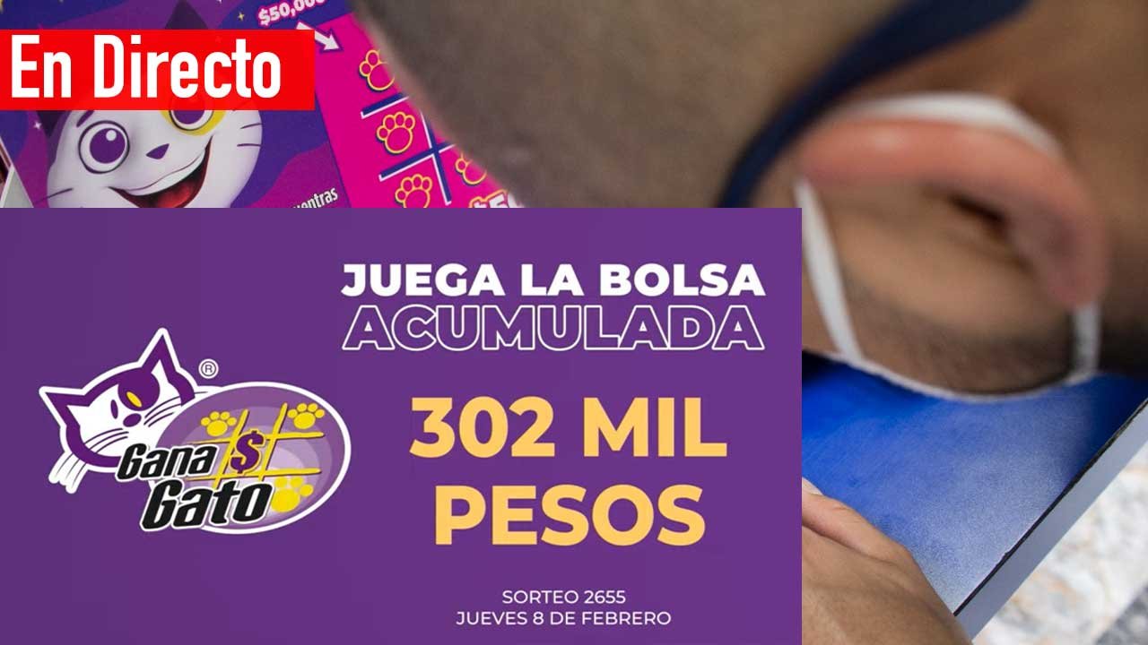 Checa los premios del gana gato