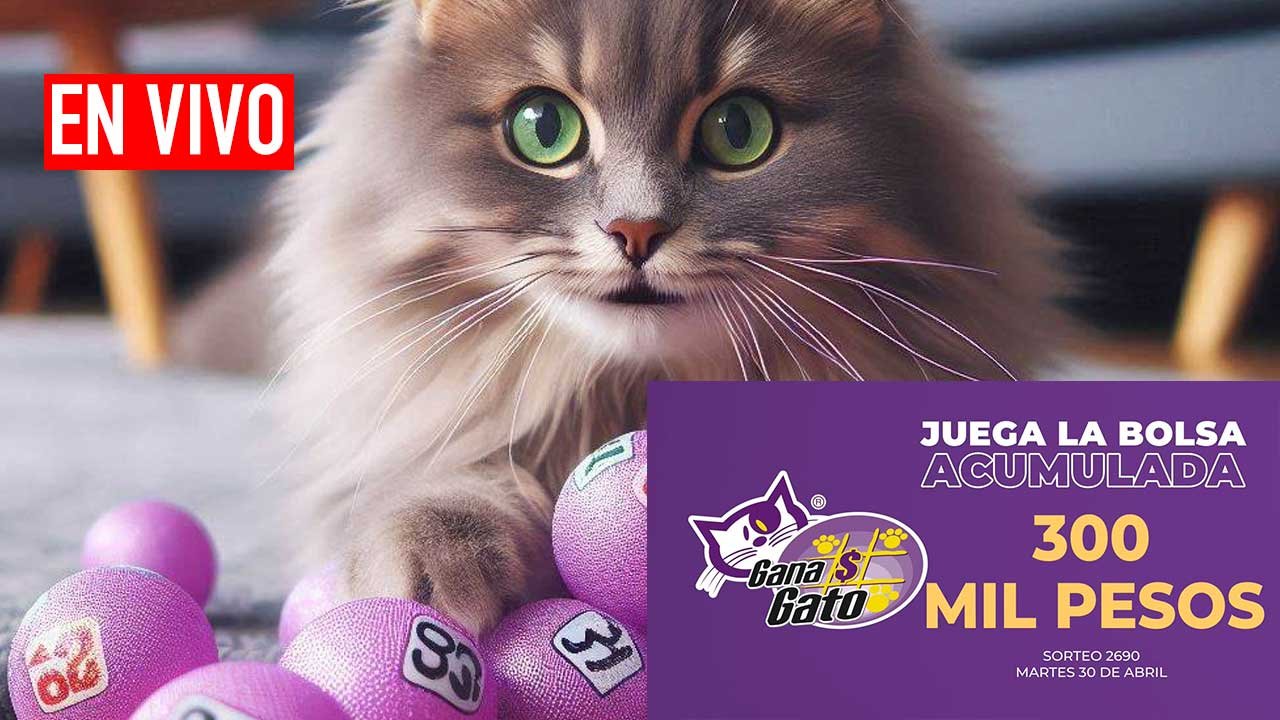 Hoy los resultados Gana Gato 2690 hoy 30 de abril 2024