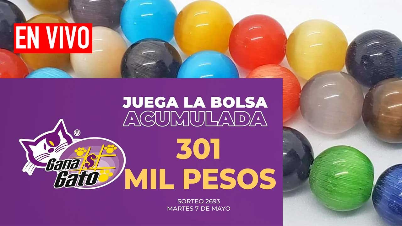 Sigue los resultados Gana Gato hoy 7 de mayo 2024