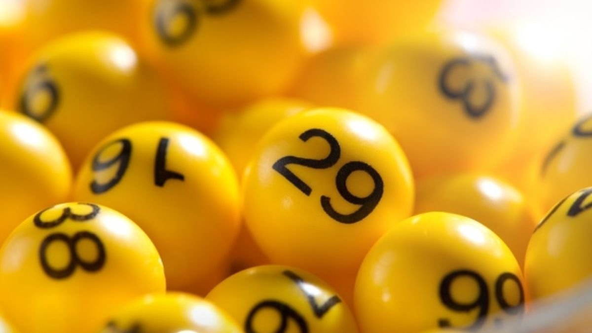 Premios chispazo 16 de febrero 2026