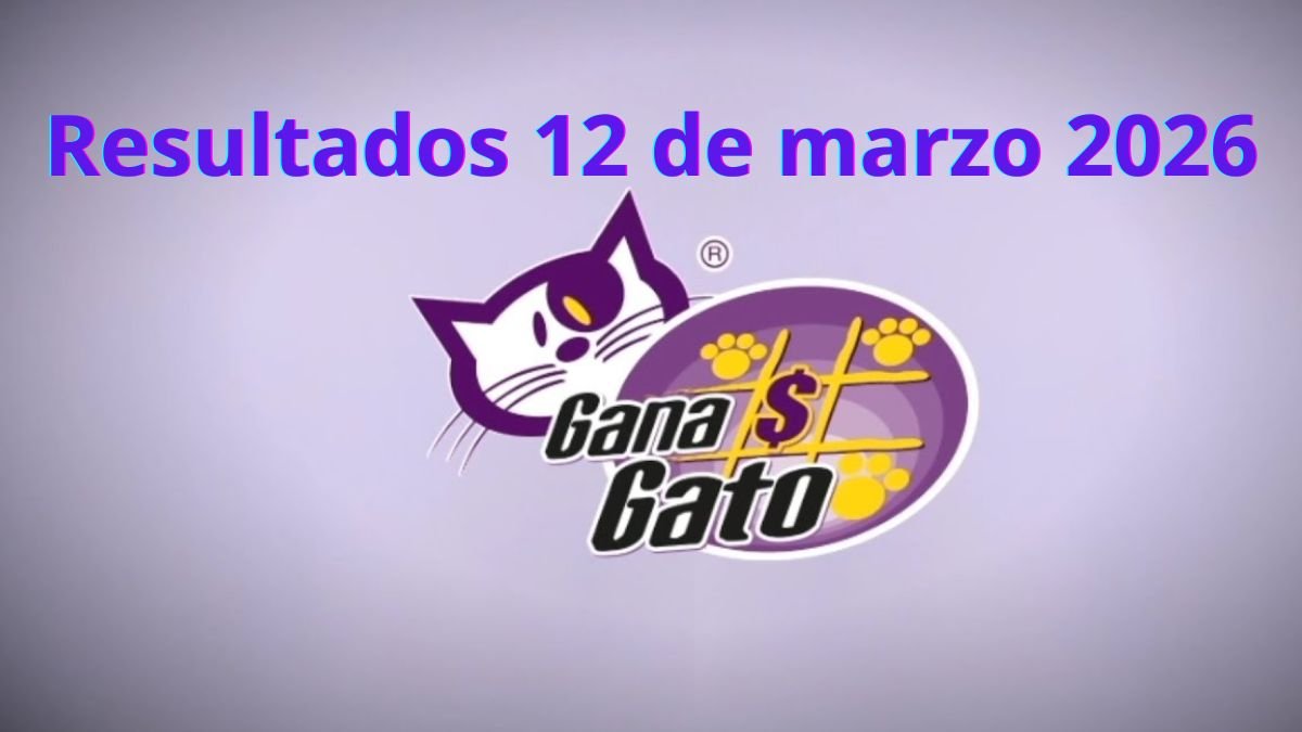 Premiso gana gato 2982