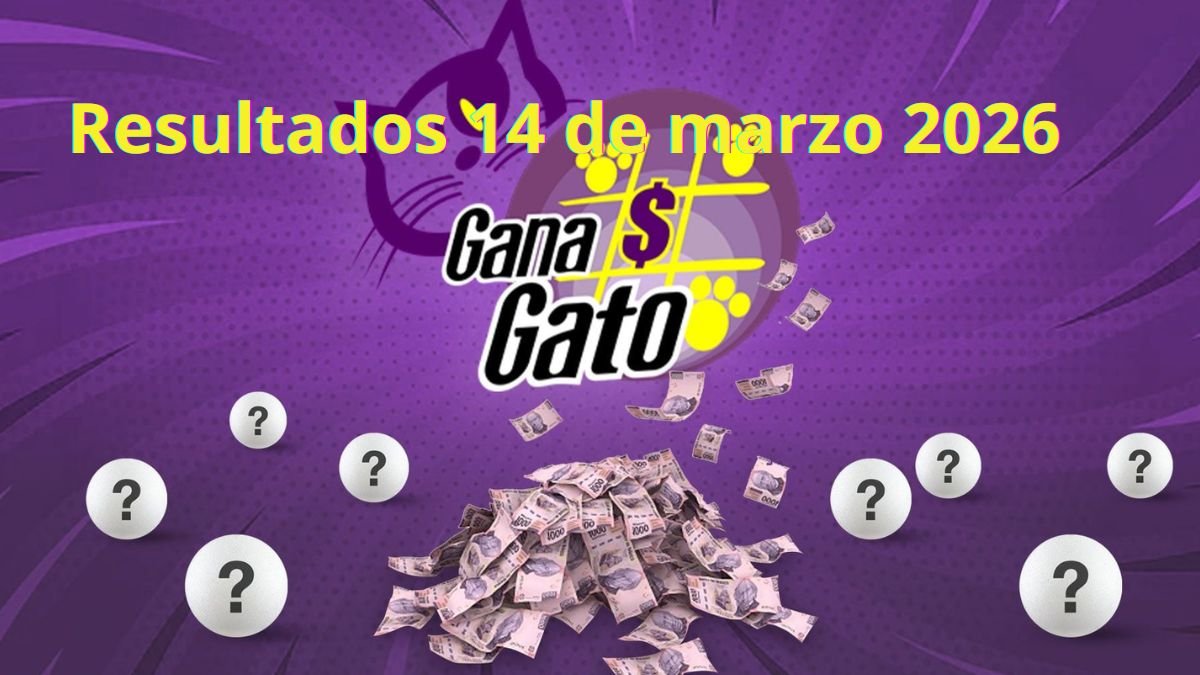 Premios gana gato 2983