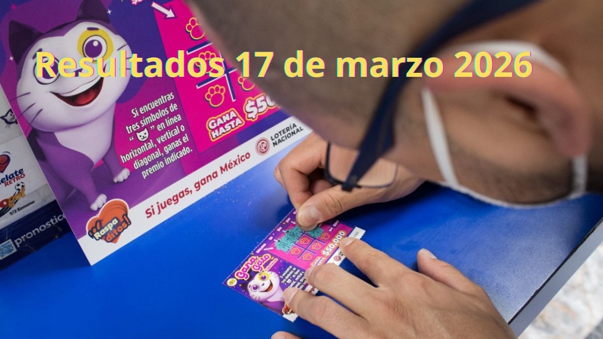 Premios del gana gato 2489