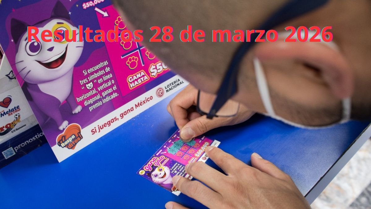 Ganadores del gana gato 2989