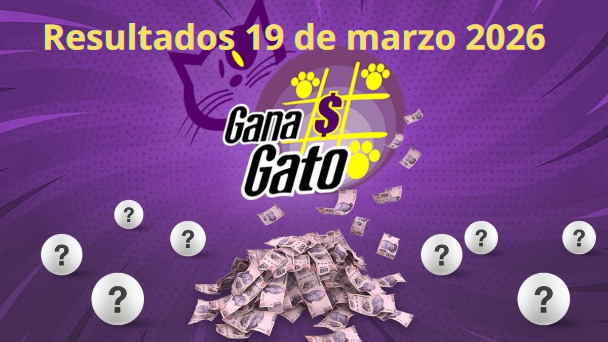 Premio del gana gato 2985