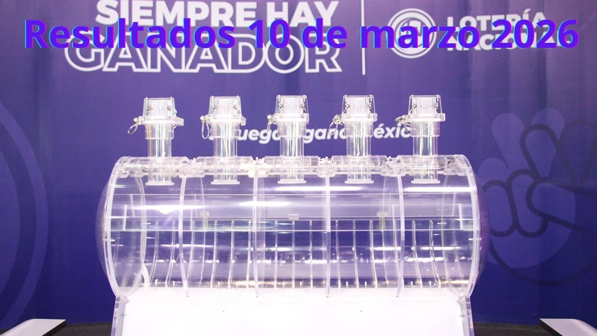 Premios gana gato 2981