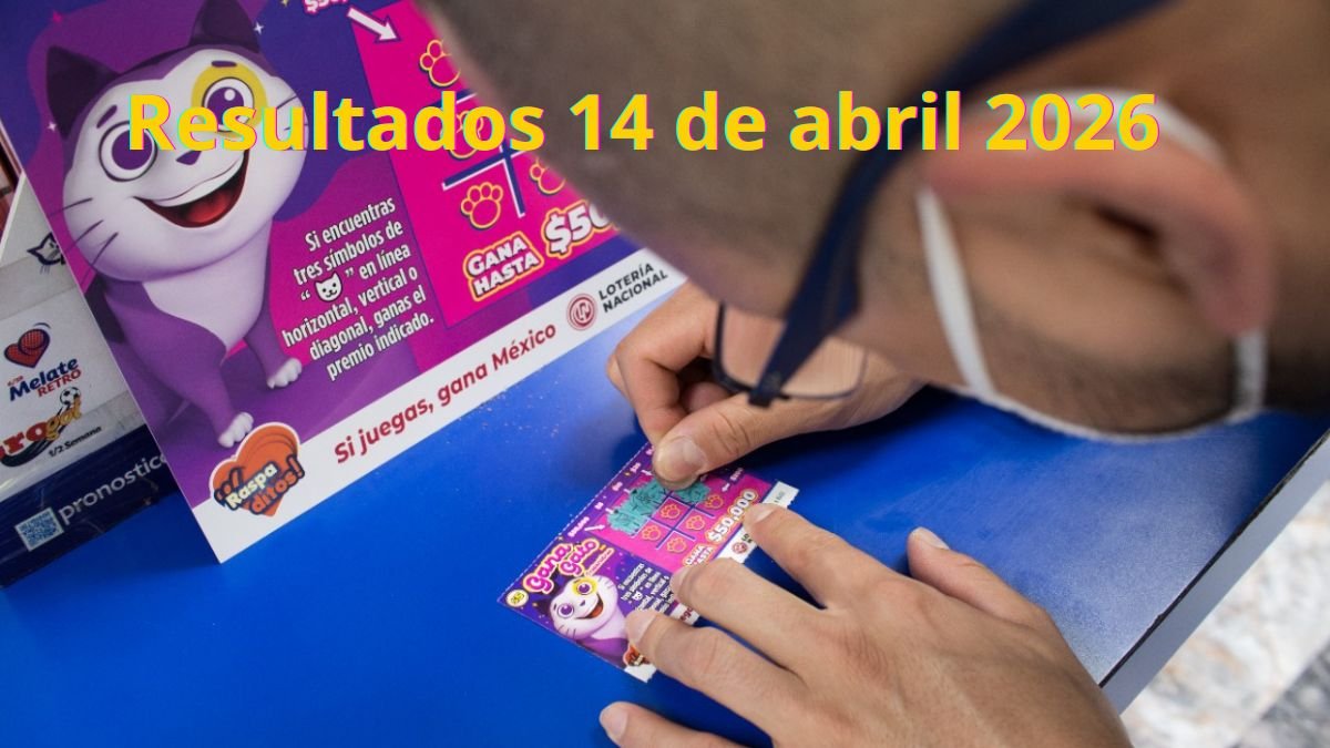 Premios gana gato 2996