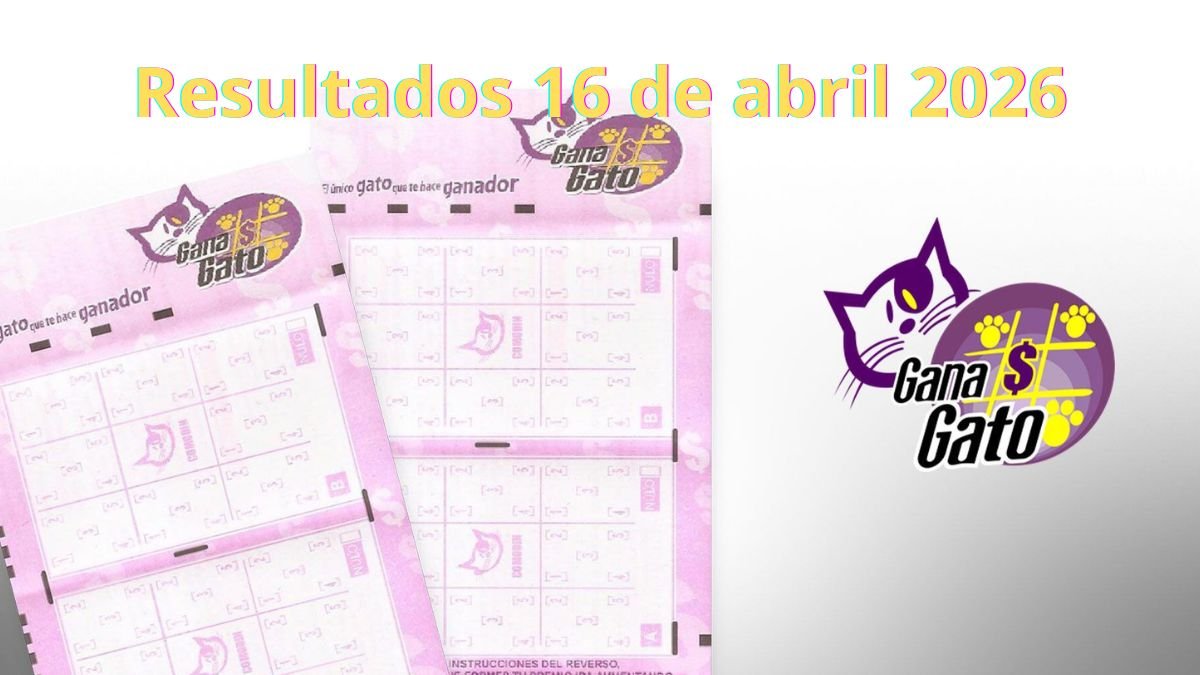 Premios Gana Gato 2997