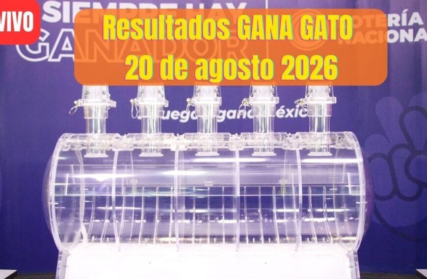 Todos los ganadores del gana gato 3051