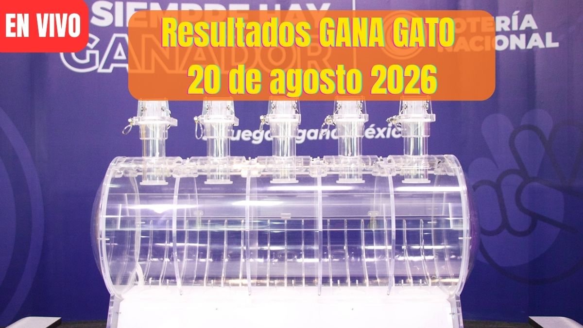Todos los ganadores del gana gato 3051