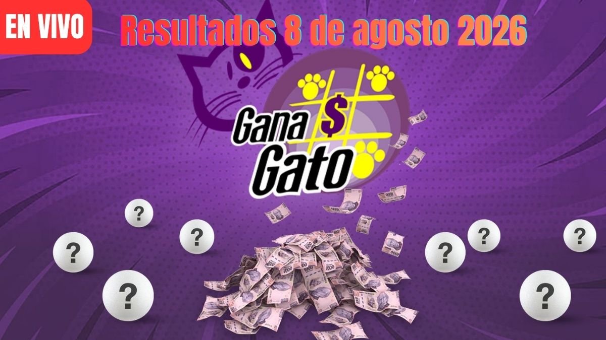 todos los ganadores ganadores gato 8 de agosto 2026