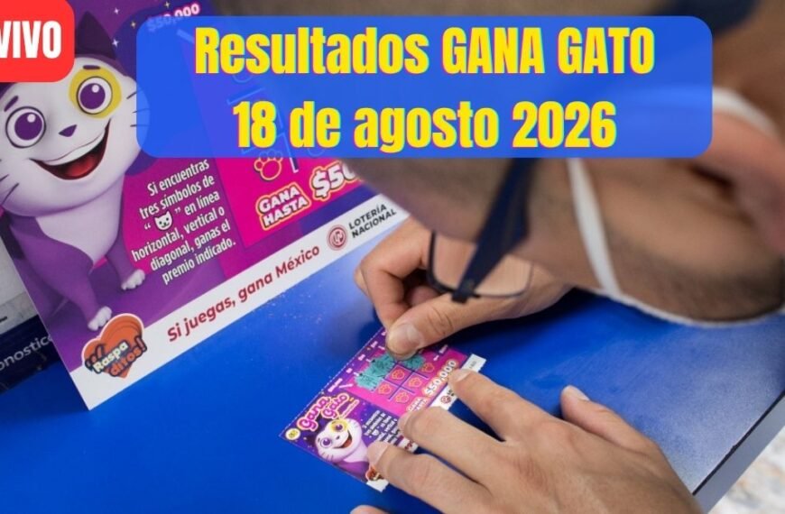 Premios del gana gato 3050